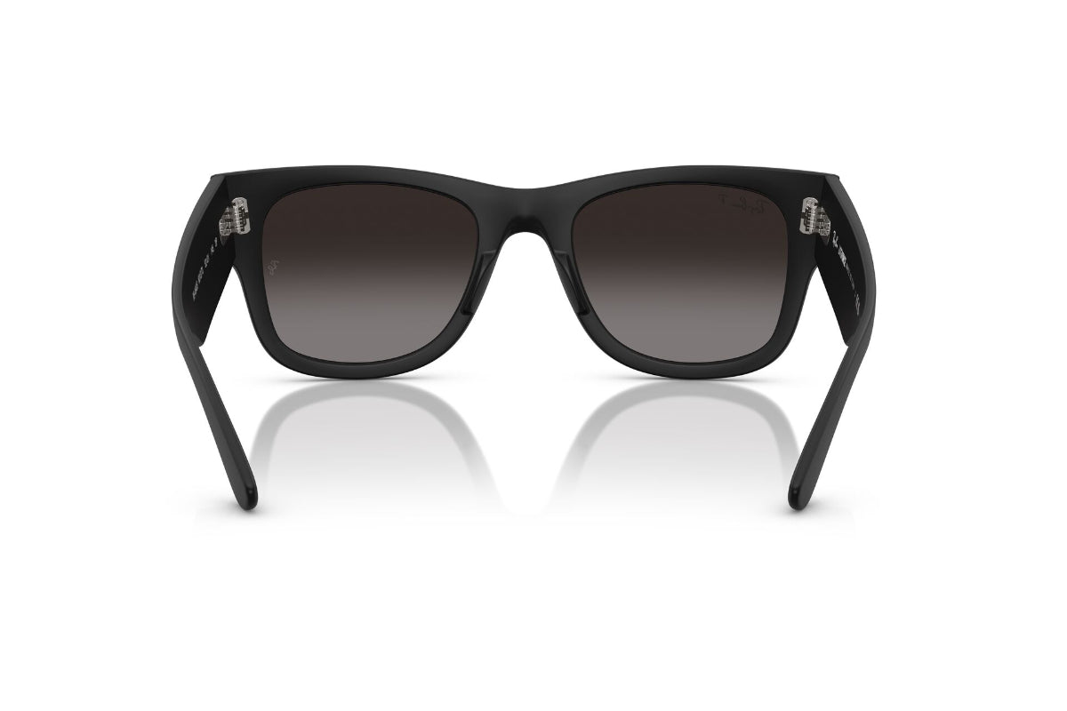 Ray-Ban Lentes de Sol